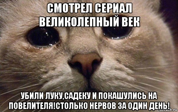 смотрел сериал великолепный век убили луку,садеку и покашулись на повелителя!столько нервов за один день!, Мем   В мире грустит один котик