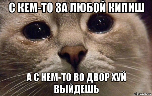 с кем-то за любой кипиш а с кем-то во двор хуй выйдешь, Мем   В мире грустит один котик