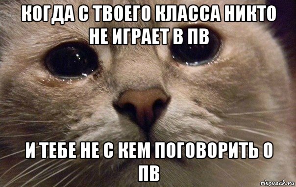 когда с твоего класса никто не играет в пв и тебе не с кем поговорить о пв, Мем   В мире грустит один котик