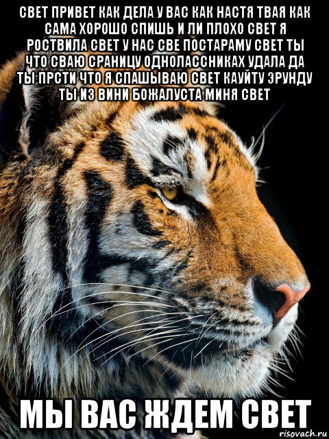 Привет светка. Всем привет как у вас дела. А У вас дела. Привет Настенька как дела. Света как дела.