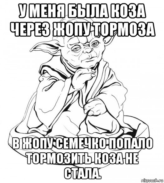 у меня была коза через жопу тормоза в жопу семечко попало тормозить коза не стала., Мем Мастер Йода