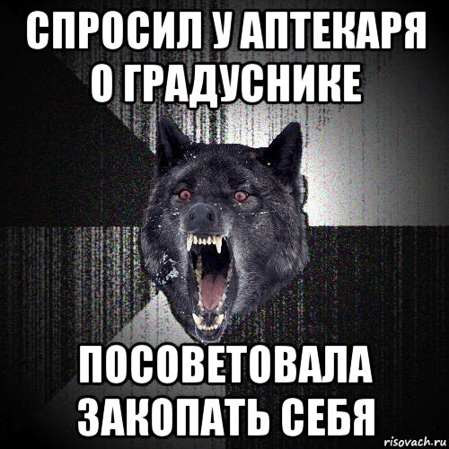 спросил у аптекаря о градуснике посоветовала закопать себя