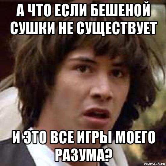 а что если бешеной сушки не существует и это все игры моего разума?, Мем А что если (Киану Ривз)