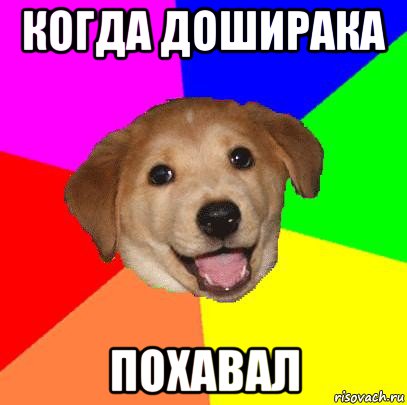 когда доширака похавал, Мем Advice Dog