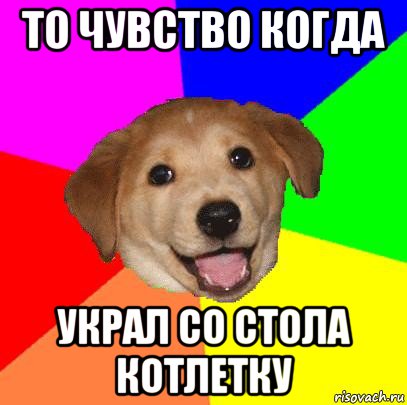 то чувство когда украл со стола котлетку, Мем Advice Dog