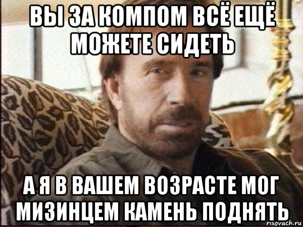 вы за компом всё ещё можете сидеть а я в вашем возрасте мог мизинцем камень поднять, Мем чак норрис