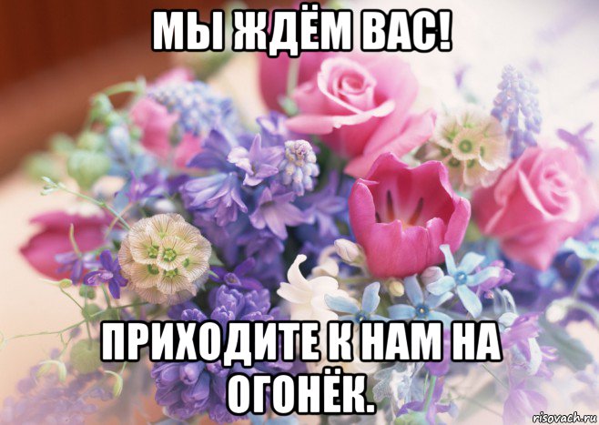 http://risovach.ru/upload/2016/06/mem/cvety_115966673_orig_.jpg