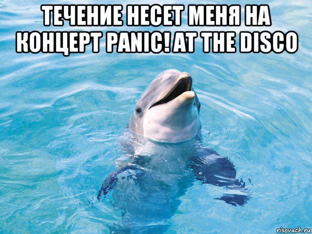 течение несет меня на концерт panic! at the disco , Мем Дельфин