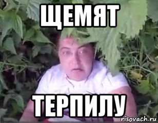 Терпила Мем. Мемы про терпил. Увидимся терпилы Мем. Ты терпила.