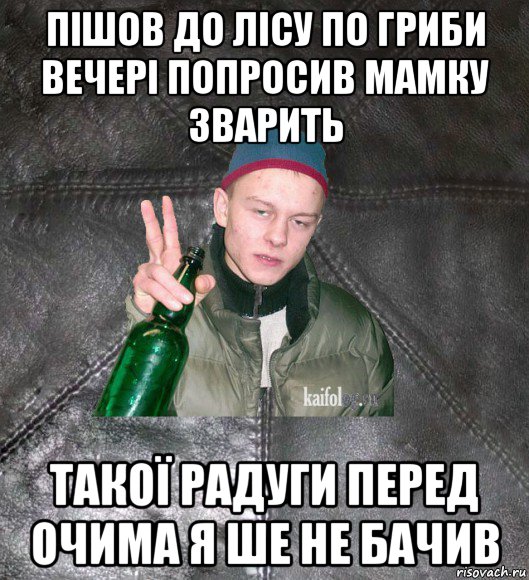 пішов до лісу по гриби вечері попросив мамку зварить такої радуги перед очима я ше не бачив, Мем Дерзкий