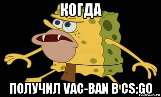 когда получил vac-ban в cs:go, Мем Дикий спанч боб