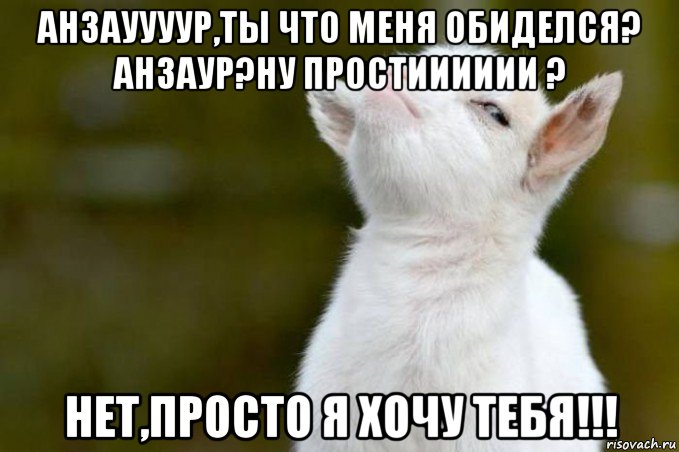 анзауууур,ты что меня обиделся? анзаур?ну простииииии ? нет,просто я хочу тебя!!!, Мем  Гордый козленок