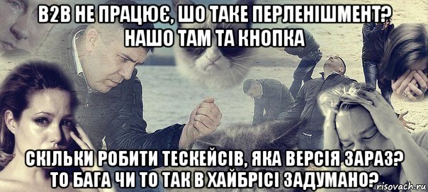 b2b не працює, шо таке перленішмент? нашо там та кнопка скільки робити тескейсів, яка версія зараз? то бага чи то так в хайбрісі задумано?, Мем Грусть вселенская