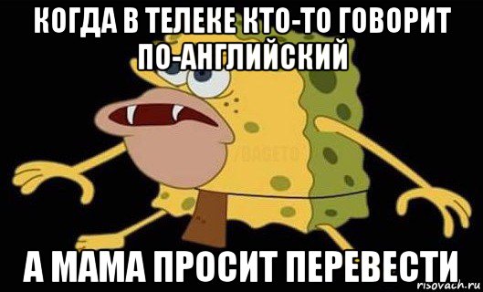 когда в телеке кто-то говорит по-английский а мама просит перевести, Мем Губка Боб дикарь