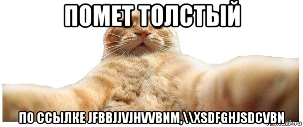 помет толстый по ссылке jfbbjjvjhvvbnm,\\xsdfghjsdcvbn, Мем   Кэтсвилл