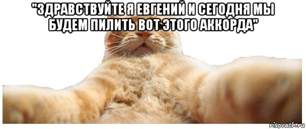 "здравствуйте я евгений и сегодня мы будем пилить вот этого аккорда" , Мем   Кэтсвилл