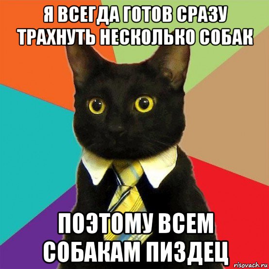 я всегда готов сразу трахнуть несколько собак поэтому всем собакам пиздец, Мем  Кошечка