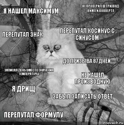 я нашел максимум не нашел производную перепутал косинус с синусом перепутал формулу записал день вместо значения температуры не проверил штрихкод кима и конверта забыл записать ответ перепутал знак я дрищ до призыва 87 дней, Комикс  кот безысходность