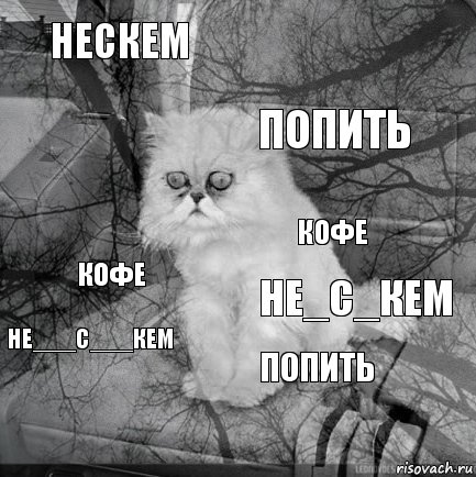 нескем не_с_кем попить  кофе  попить  НЕ___С___КЕМ кофе, Комикс  кот безысходность