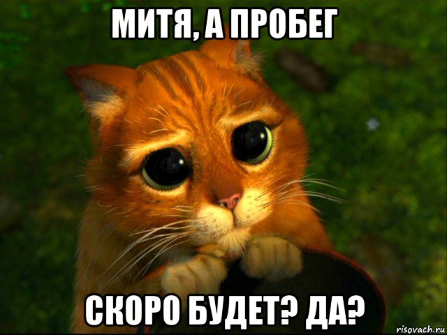 митя, а пробег скоро будет? да?, Мем кот из шрека