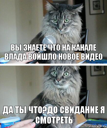 Вы знаете что на канале влада войшло новое видео Да ты что?До свидание я смотреть, Комикс  кот с микрофоном