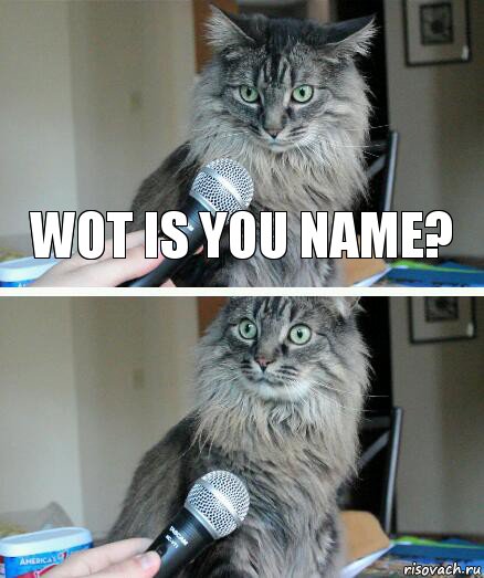 Wot is you name? , Комикс  кот с микрофоном