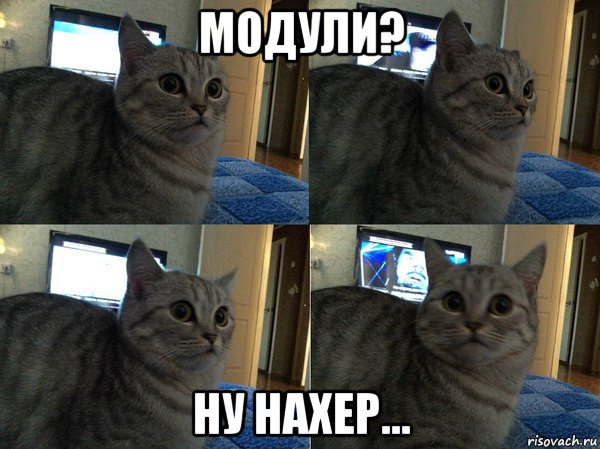 модули? ну нахер..., Мем  Кот в шоке