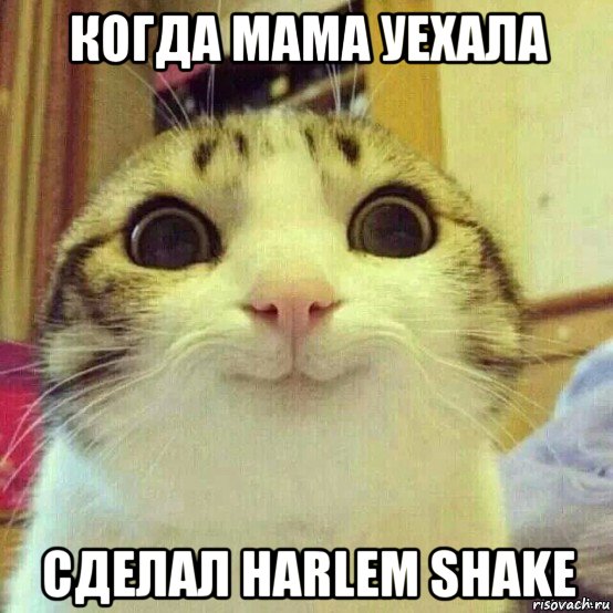 когда мама уехала сделал harlem shake, Мем       Котяка-улыбака