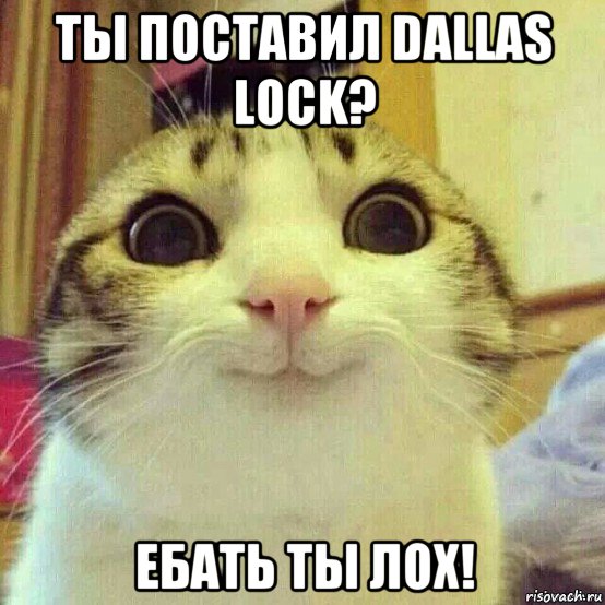 ты поставил dallas lock? ебать ты лох!, Мем       Котяка-улыбака