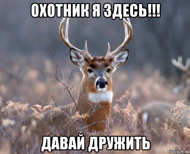 охотник я здесь!!! давай дружить