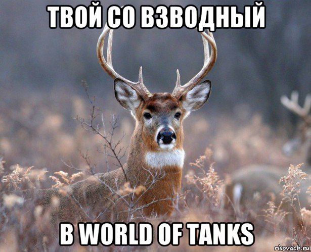 твой со взводный в world of tanks, Мем   Наивный олень