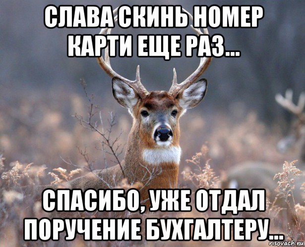 слава скинь номер карти еще раз... спасибо, уже отдал поручение бухгалтеру...