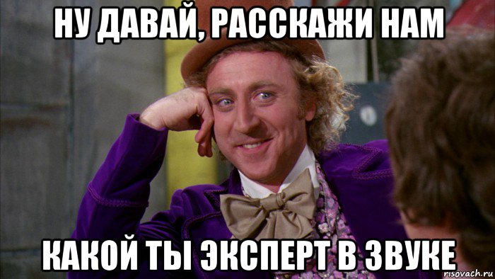 ну давай, расскажи нам какой ты эксперт в звуке, Мем Ну давай расскажи (Вилли Вонка)