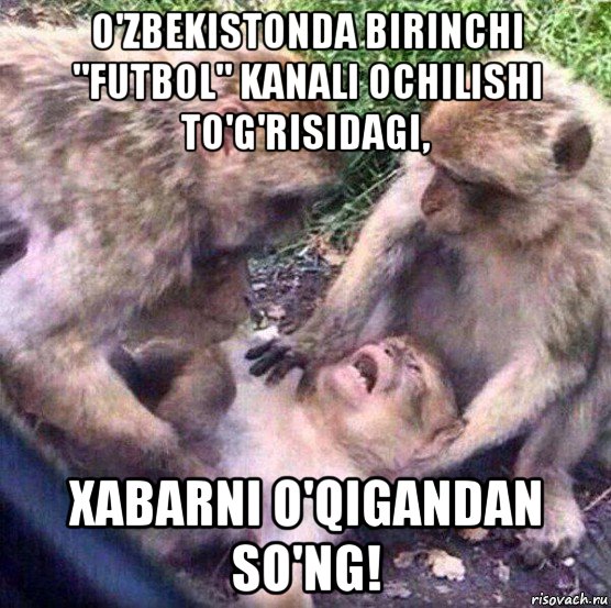 o'zbekistonda birinchi "futbol" kanali ochilishi to'g'risidagi, xabarni o'qigandan so'ng!