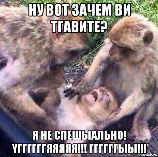 ну вот зачем ви тгавите? я не спешыально! yггггггяяяяя!!! ггггггыы!!!