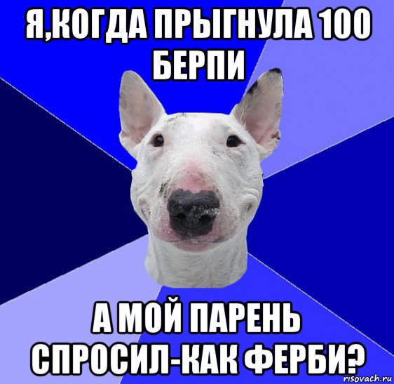 я,когда прыгнула 100 берпи а мой парень спросил-как ферби?, Мем типичный буль