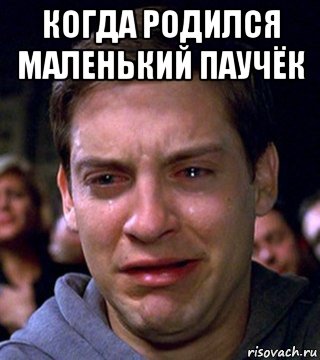 когда родился маленький паучёк 