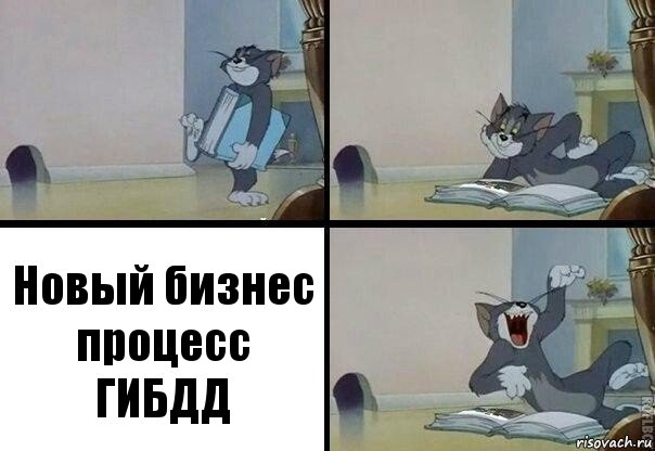 Новый бизнес процесс ГИБДД