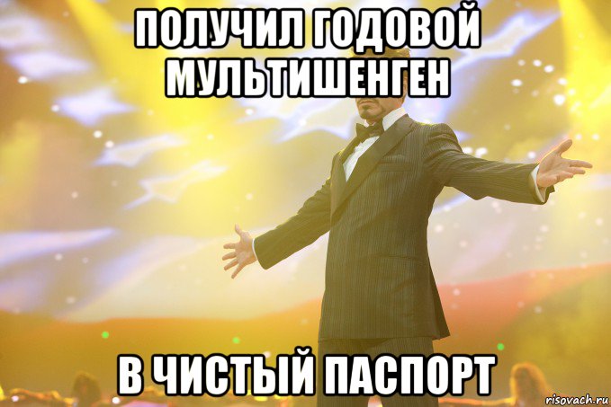 получил годовой мультишенген в чистый паспорт, Мем Тони Старк (Роберт Дауни младший)