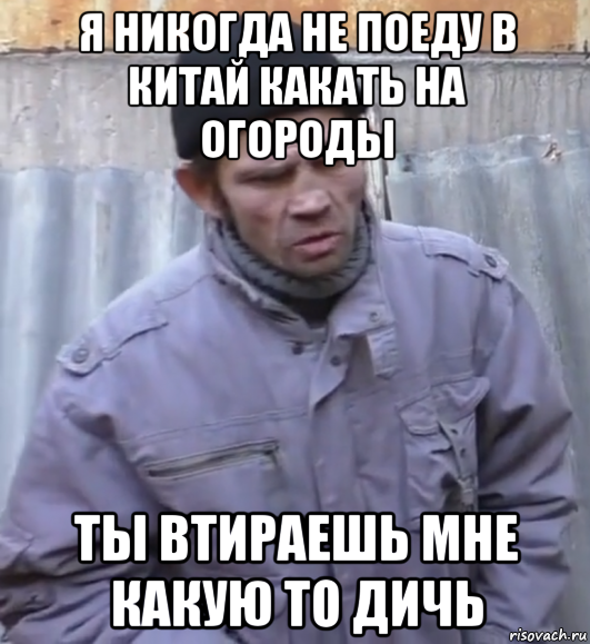 я никогда не поеду в китай какать на огороды ты втираешь мне какую то дичь, Мем  Ты втираешь мне какую то дичь