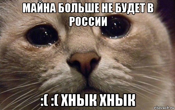 майна больше не будет в россии :( :( хнык хнык, Мем   В мире грустит один котик