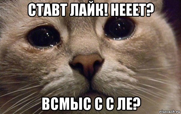 ставт лайк! нееет? всмыс с с ле?, Мем   В мире грустит один котик