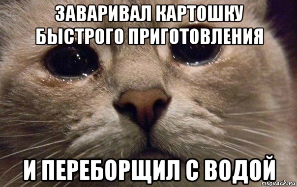 заваривал картошку быстрого приготовления и переборщил с водой, Мем   В мире грустит один котик