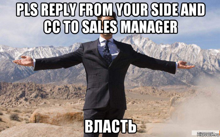 pls reply from your side and cc to sales manager власть, Мем железный человек