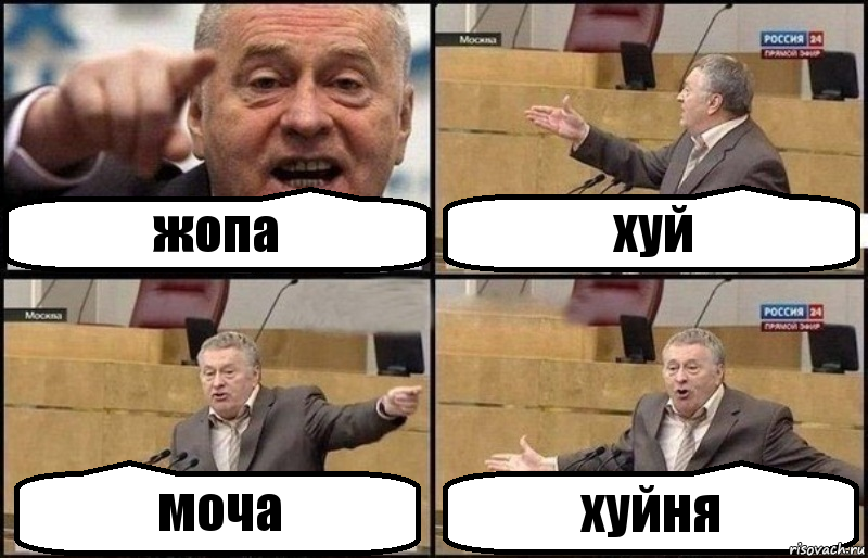 жопа хуй моча хуйня, Комикс Жириновский