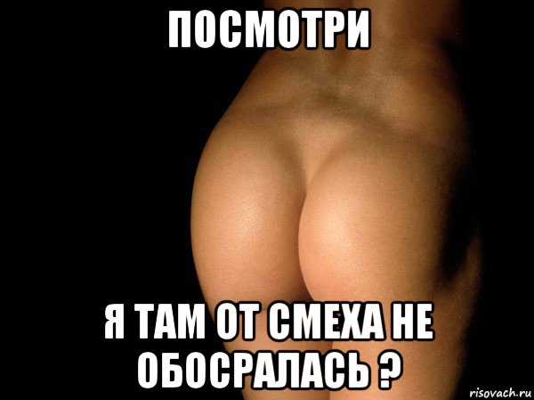 посмотри я там от смеха не обосралась ?