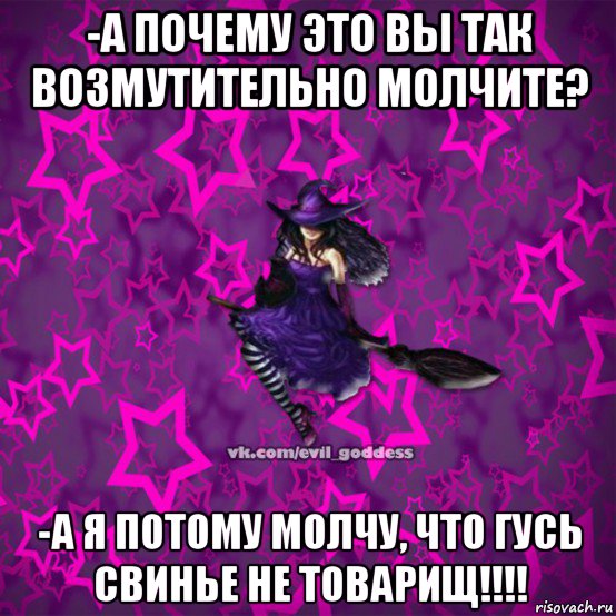 -а почему это вы так возмутительно молчите? -а я потому молчу, что гусь свинье не товарищ!!!!, Мем Зла Богиня