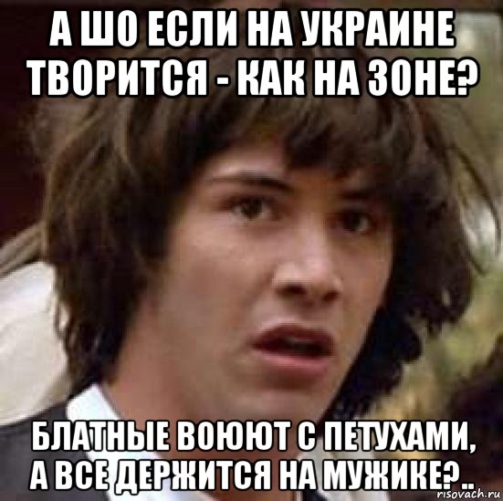 а шо если на украине творится - как на зоне? блатные воюют с петухами, а все держится на мужике?.., Мем А что если (Киану Ривз)