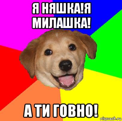 я няшка!я милашка! а ти говно!, Мем Advice Dog