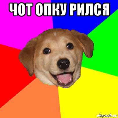 чот опку рился , Мем Advice Dog